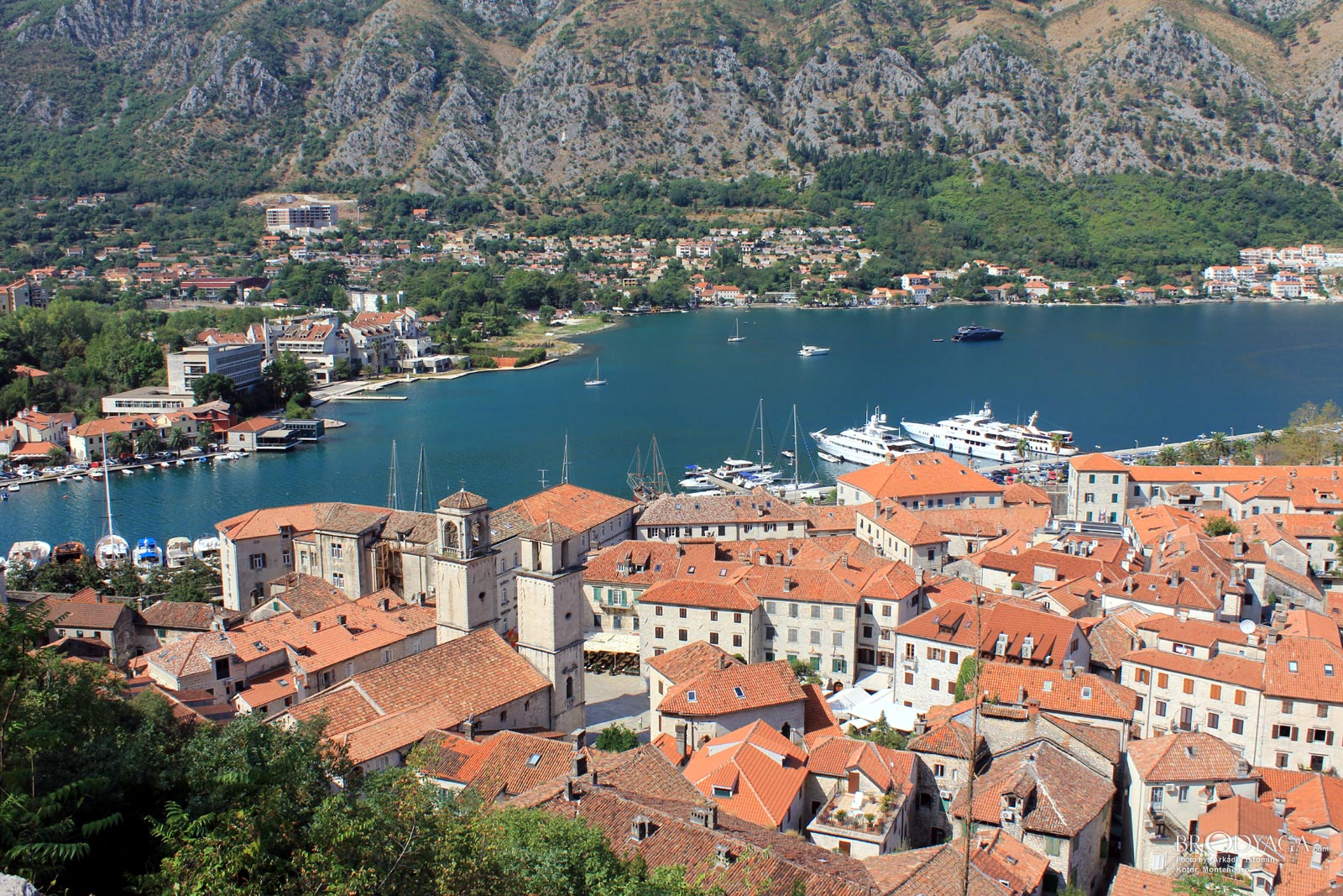 Kotor